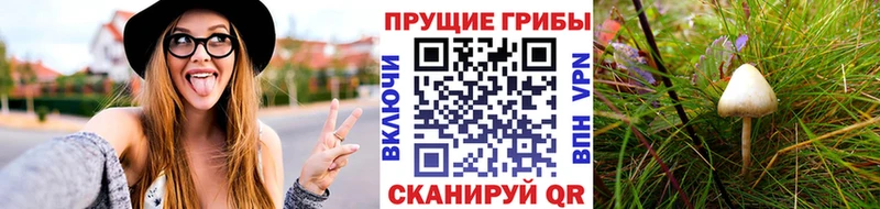 Купить Углегорск Галлюциногенные грибы Cubensis